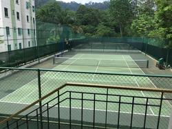 Springdale Condominium (D21), Condominium #172637052